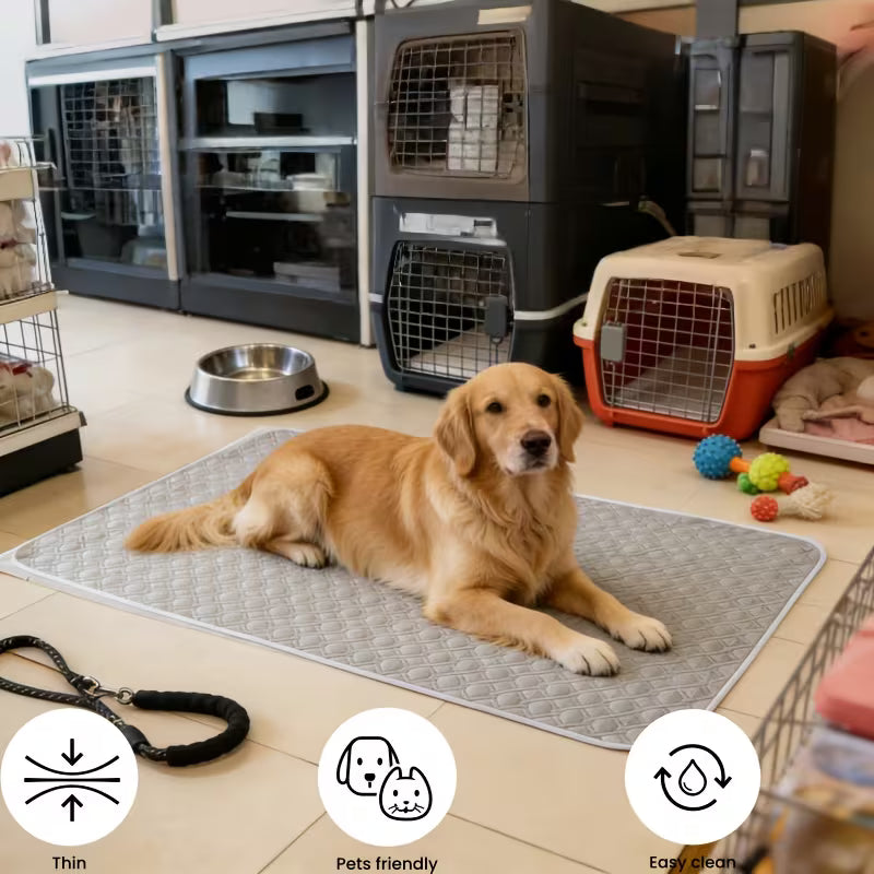 PAWZ®-Dog Pee Pad Blanket Reusable