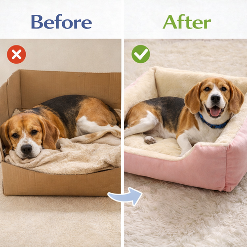 PAWZ®-Bed for Pet