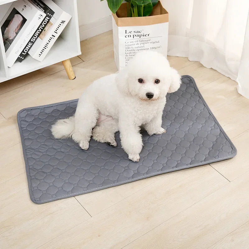 PAWZ®-Dog Pee Pad Blanket Reusable